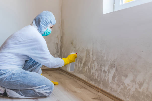 Mold Remediation specialist working in Ada