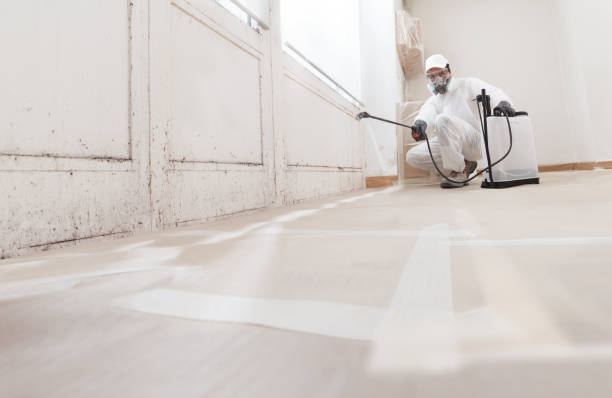 Post-remediation clearance in Ada